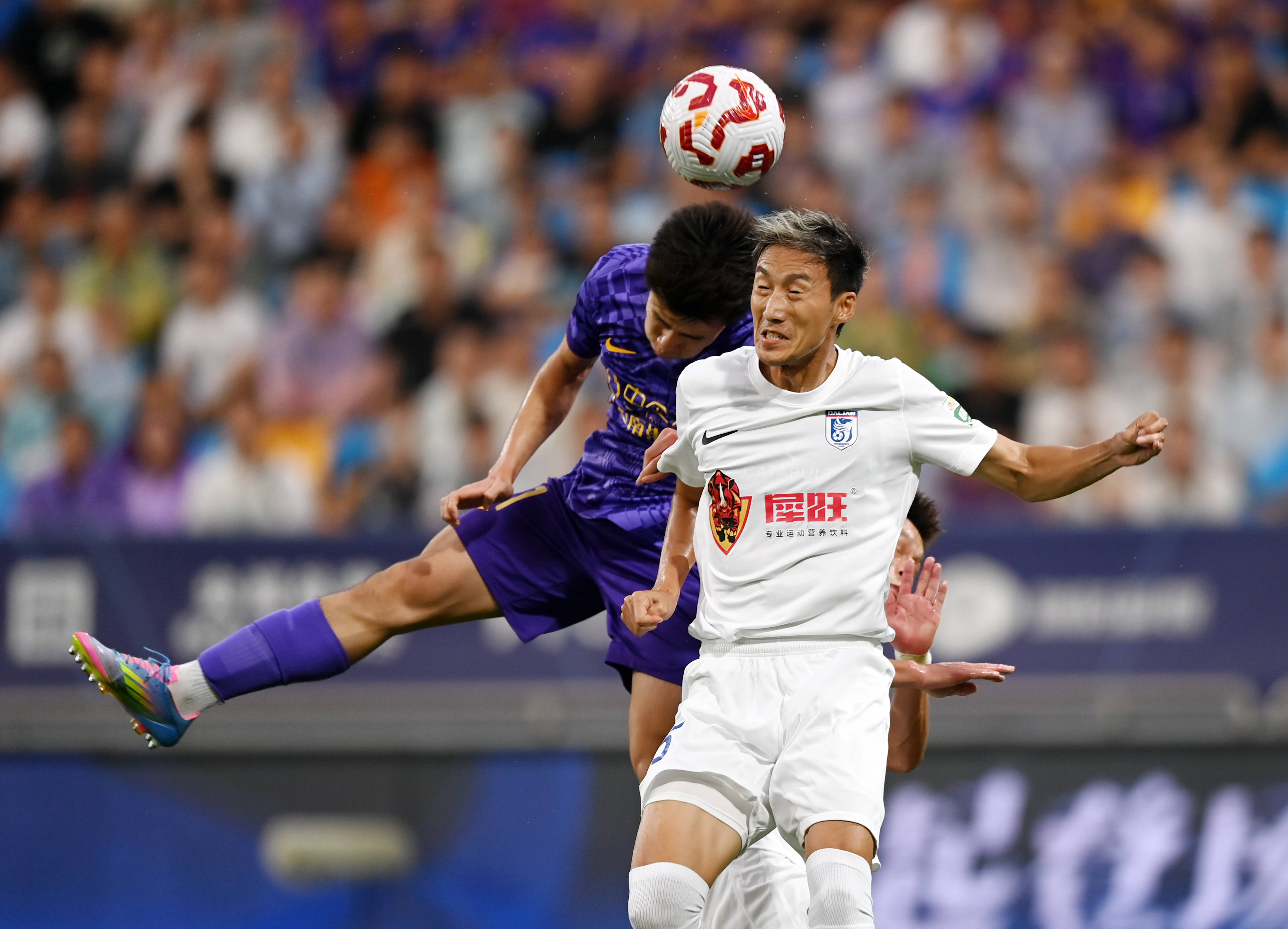 松的临危不 松的临危不